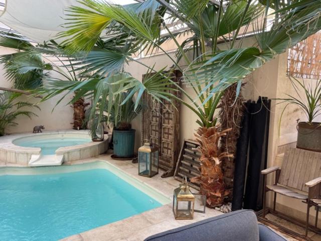 Cocoon In ***** Appartamento Cannes